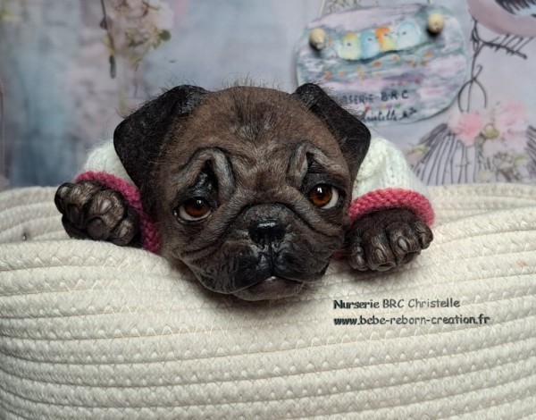 B Monty simon Laurens (6)